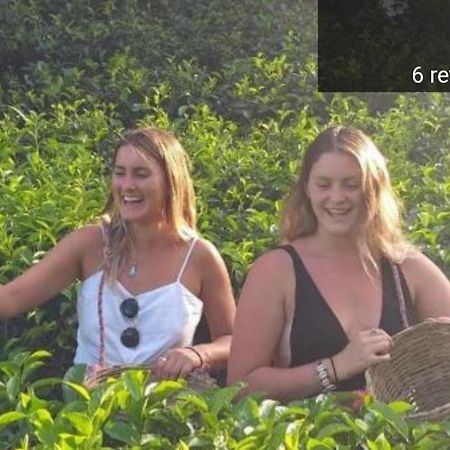Tea Villas إيلا المظهر الخارجي الصورة