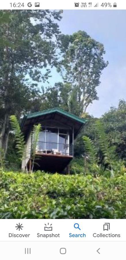 Tea Villas إيلا المظهر الخارجي الصورة