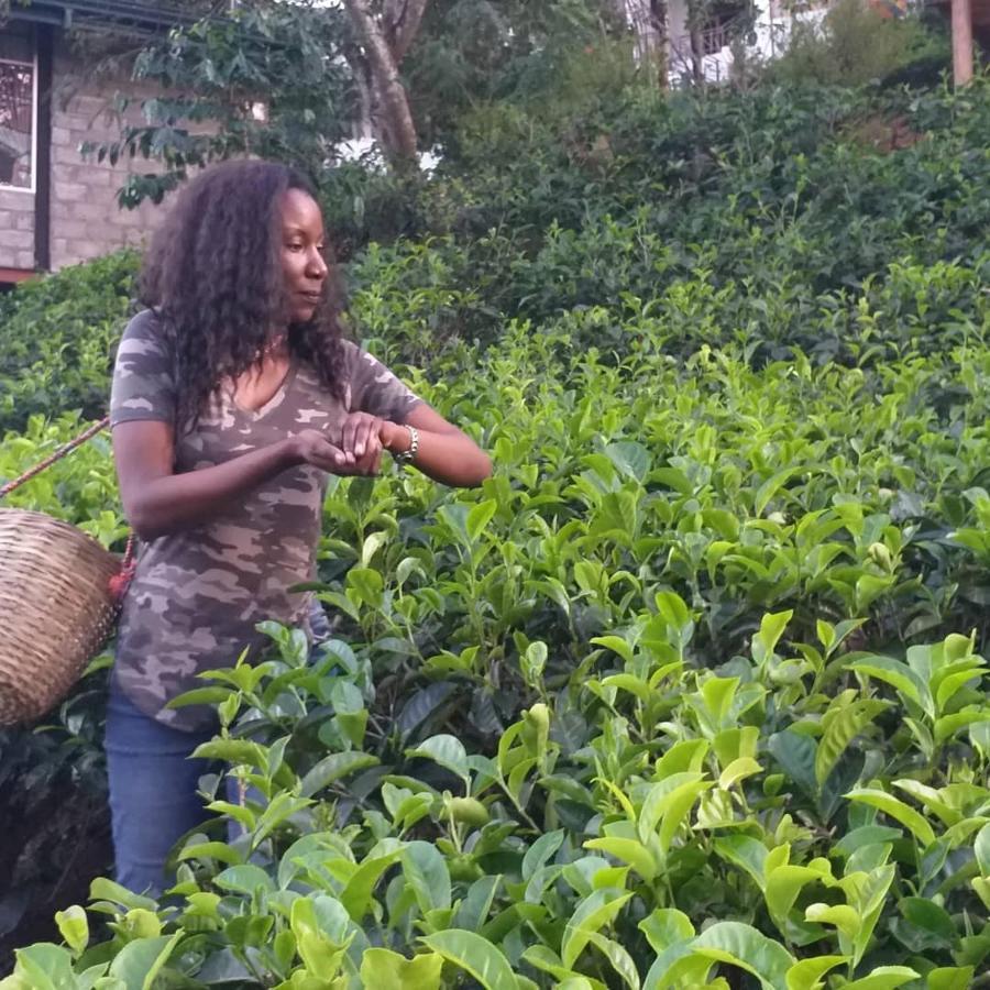 Tea Villas إيلا المظهر الخارجي الصورة
