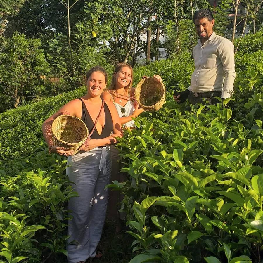 Tea Villas إيلا المظهر الخارجي الصورة