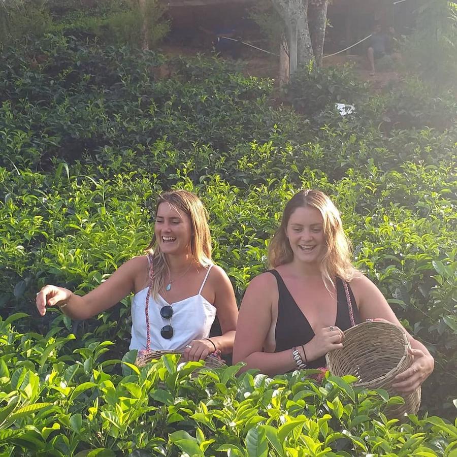 Tea Villas إيلا المظهر الخارجي الصورة