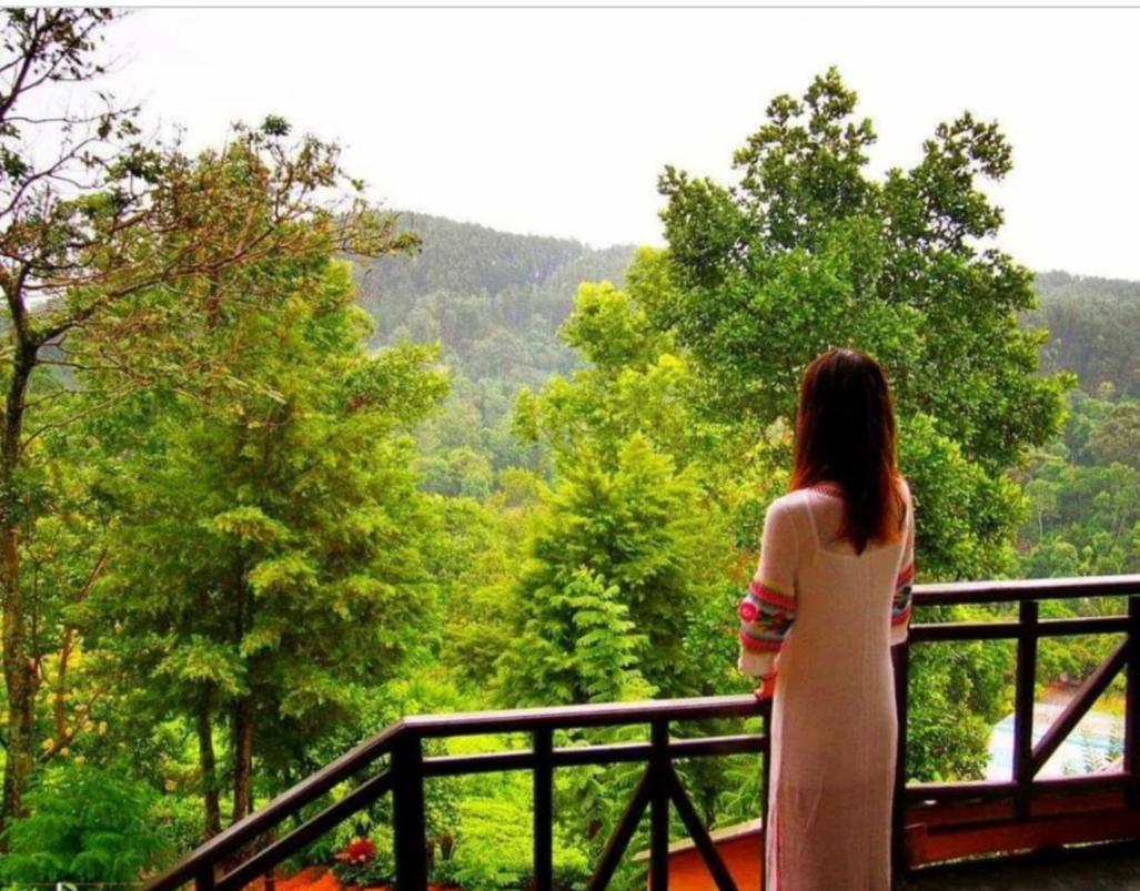 Tea Villas إيلا المظهر الخارجي الصورة